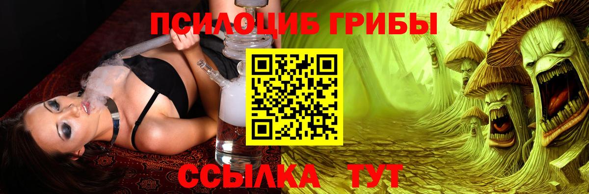 Богородск  Галлюциногенные грибы мицелий  Вход с VPN 