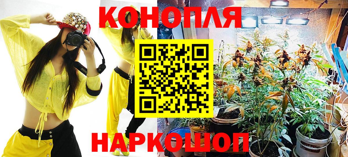 Конопля план Богородск
